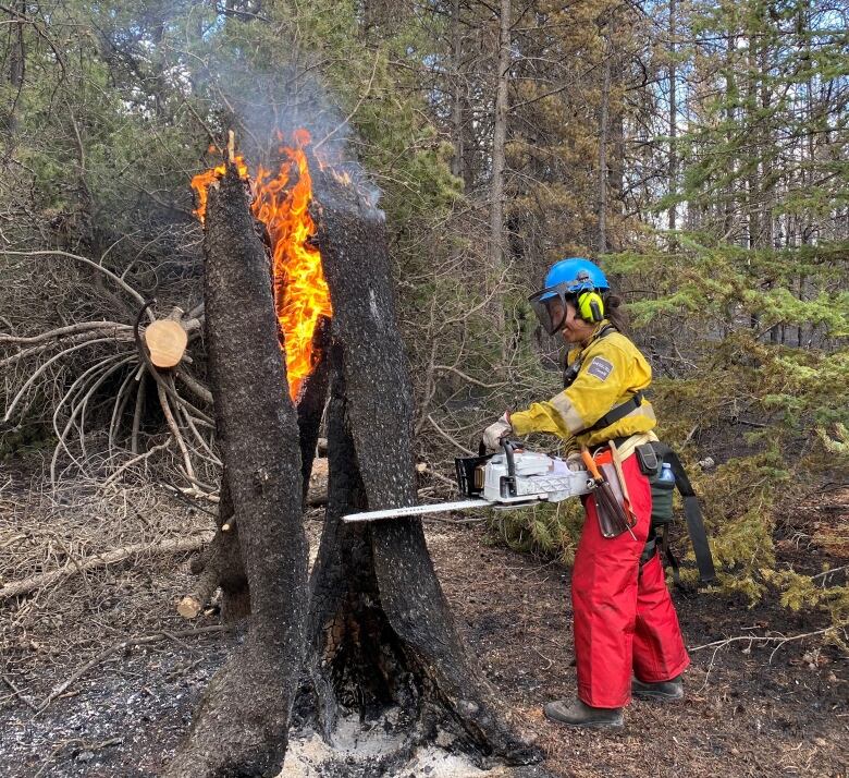 A person cuts a tree with a chainsaw, with flames in the background.