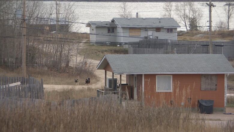 A photo of a dirt road with homes