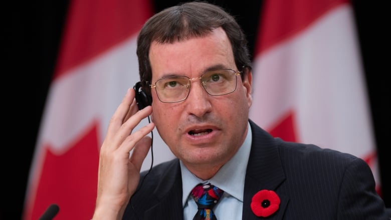 A man wears a suit and tie with a poppy.