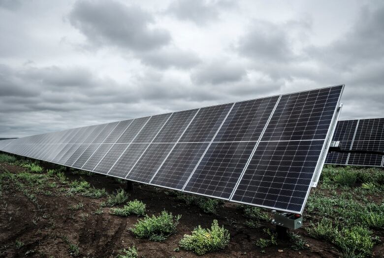 Solar panels under cloudy skies on scrubby ground.