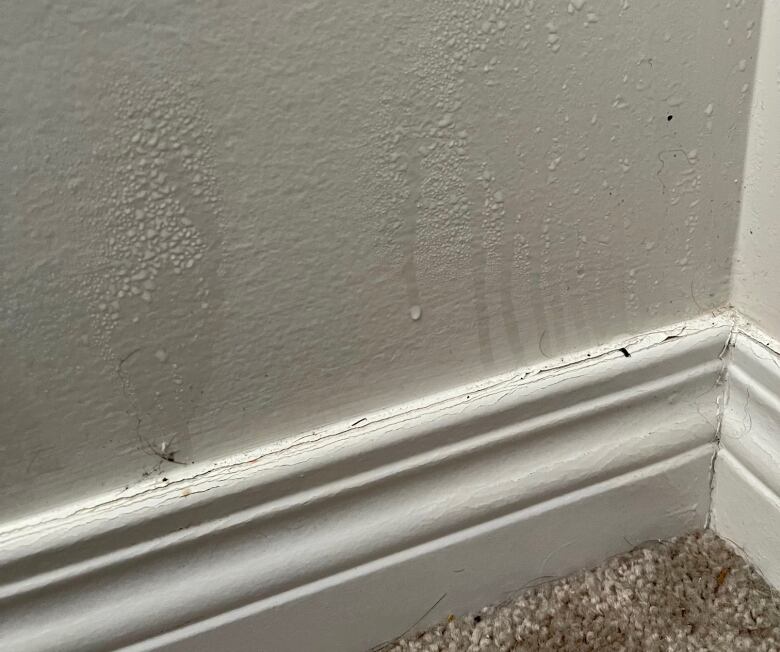 Water droplets slide down a white wall near the baseboard.