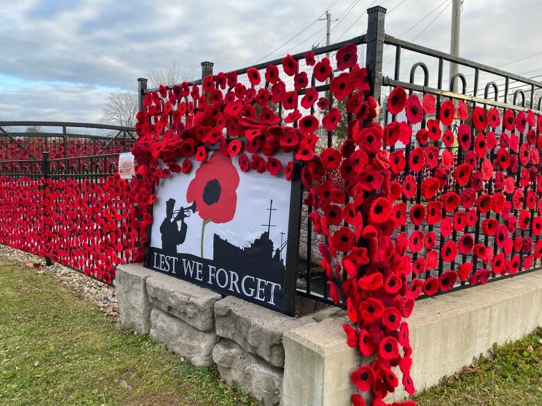 A Remembrance Day display is shown at Sullivans Pond in Dartmouth.