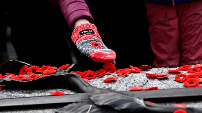 A person wearing a mitten lays a poppy down.