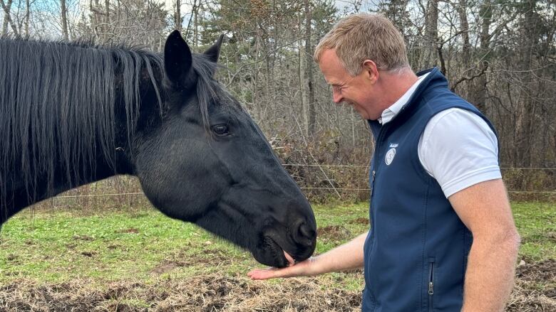 A black horse licks the hand of a man. 