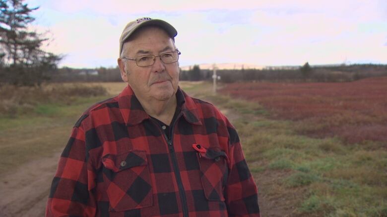 A man in a plaid jacket and ball cap stands on a dirt road running through a blueberry farm.