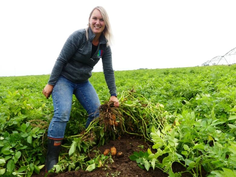 Alison Davie, who owns North Paddock Farms in Taber, Alta. said her potato harvest went 