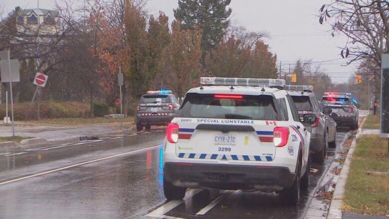 Police cars line the side of a road.