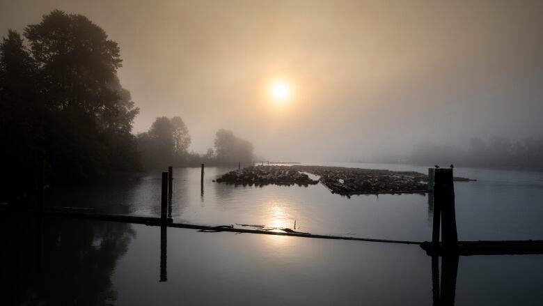 A sun gleams through fog above water, surrounded by tree silhouettes.