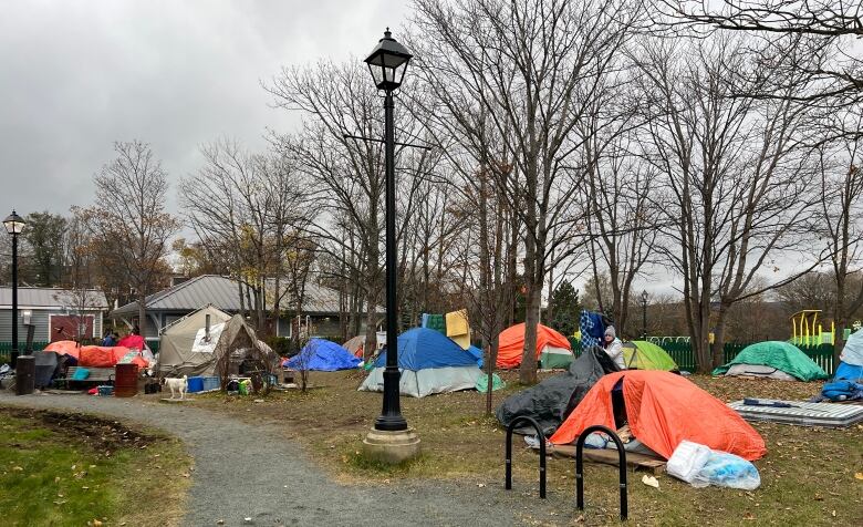 Several tents can be seen. A woman is fixing a tarp. A dog can also be seen strolling around off leash.