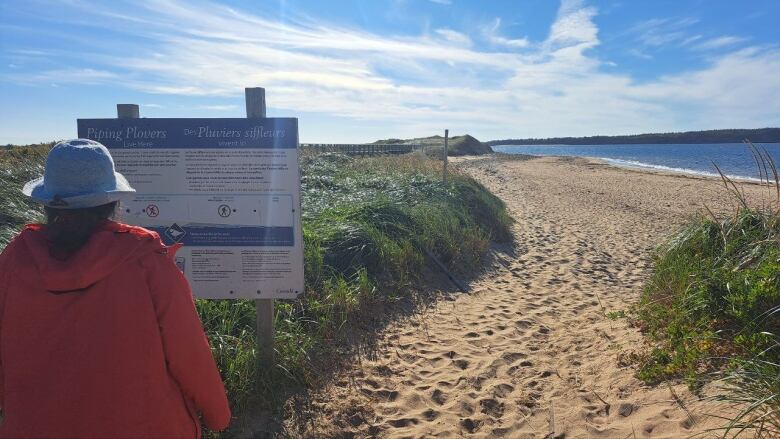 A person wearing a red coast looks at a sign at the entrance of a sandy beach.