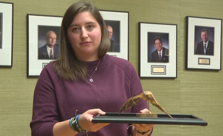 A person with long dark hair wearing a maroon sweater holds up a taxidermy bat. 