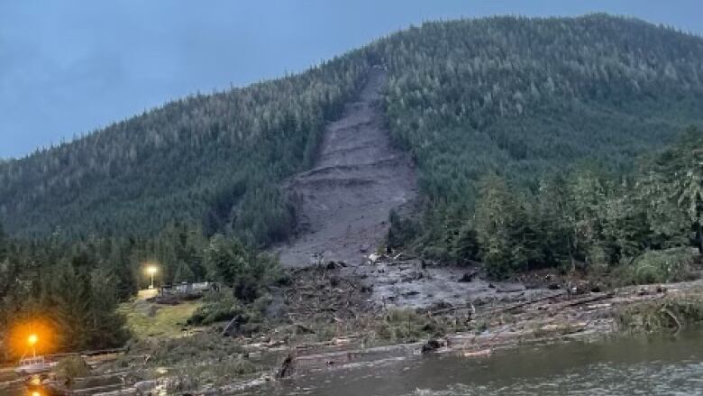 Looking from the water toward a landslide visible on the side of a mountain.