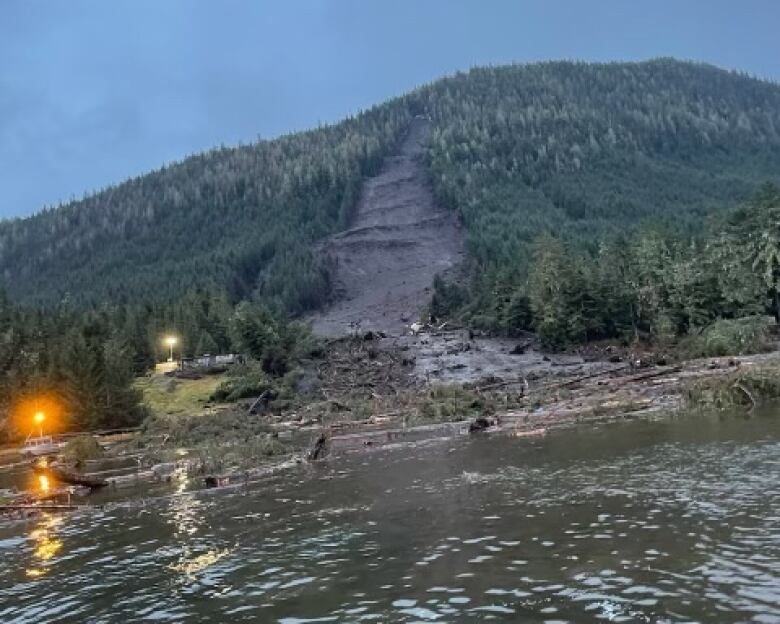 Looking from the water toward a landslide visible on the side of a mountain.