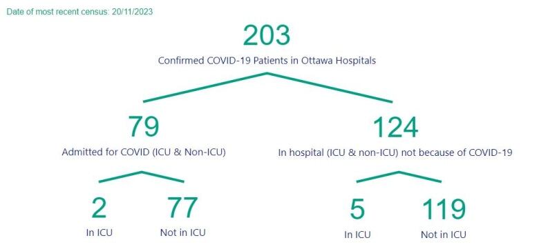 A chart showing the number of people in Ottawa hospitals with COVID.