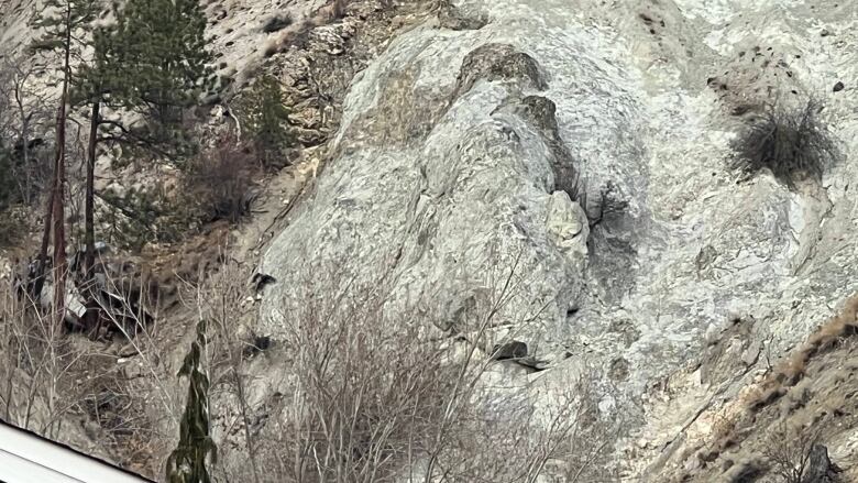 A rock in a formation is pictured with a visible crack.