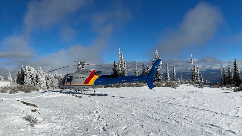 A helicopter with blue, yellow and red markings is pictured in snowy conditions.