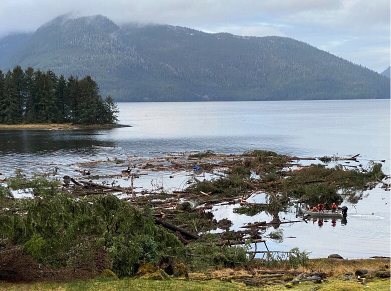 A small boat is seen among some trees and other debris floating just offshore, with mountains in the background.