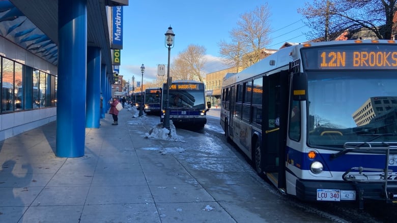 Buses line up along King Street in Fredericton.