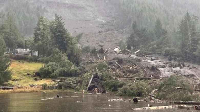 Debris from a landslide is seen on a forested slope and in the water.