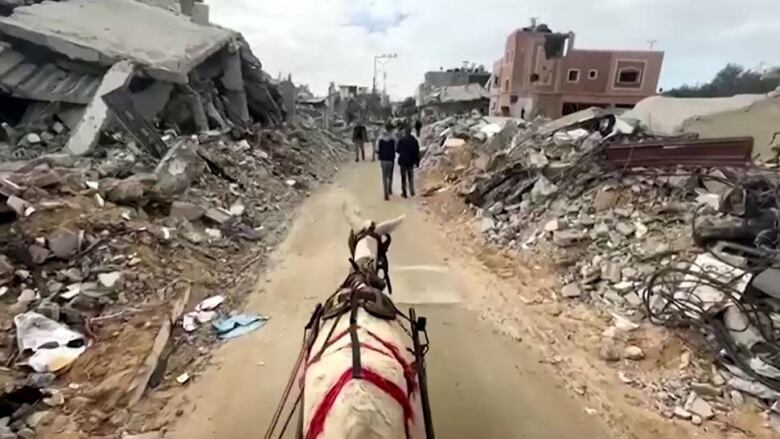 A donkey pulls a cart through the rubble left in Khan Younis.