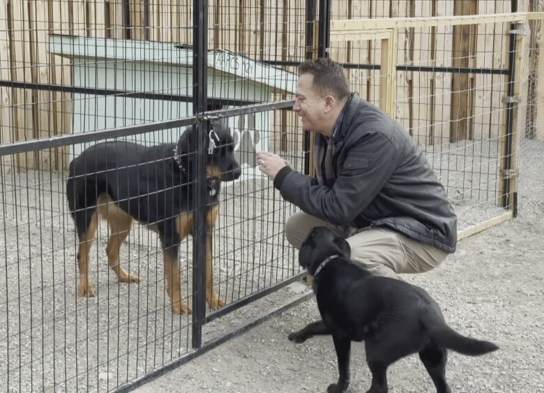 Siksika nation member Wayne Solway founded the dog shelter after seeing abandoned strays living in 'sad situations.'