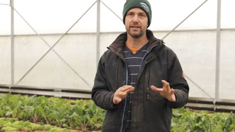 Chris Devries of Common Ground farm near St. Thomas makes regular donations of fresh vegetables to the local food bank. He said it's a good way to use excess product, and also leads to a tax break.