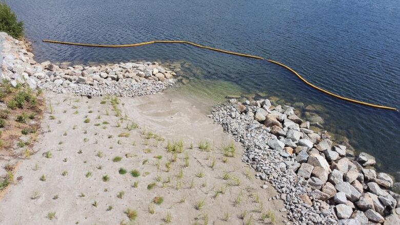 picture of a living shoreline on a beach