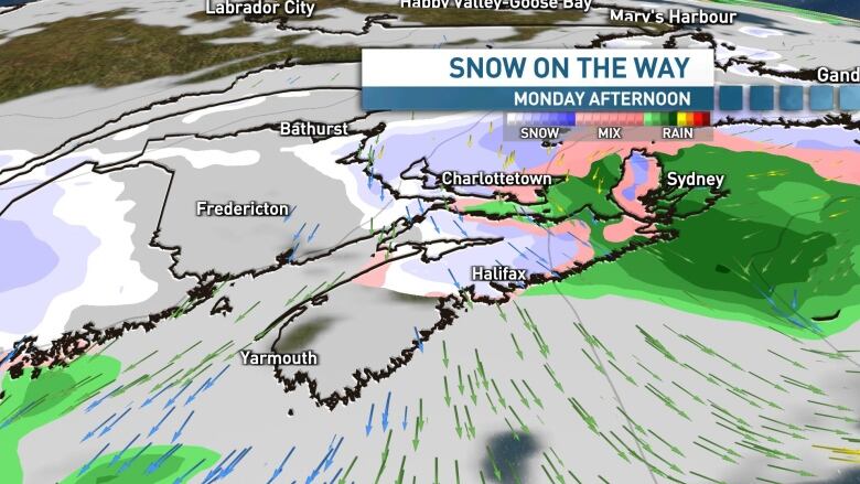 Graphic showing snowfall for Monday afternoon