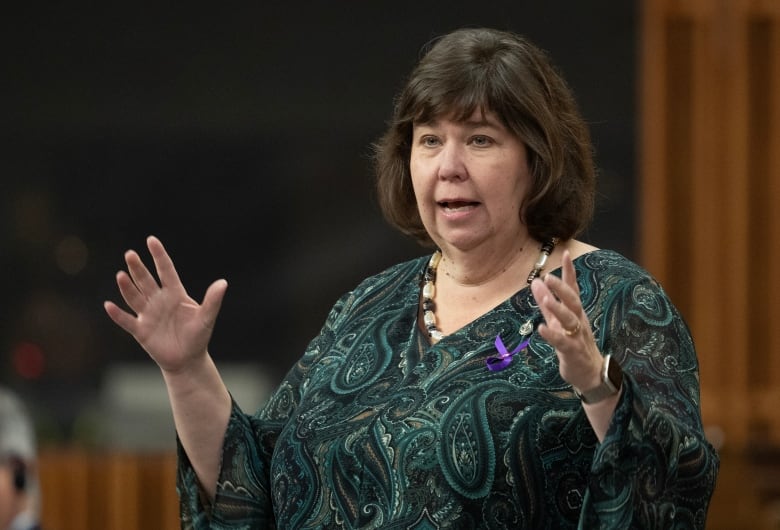 A politician gestures with two hands while speaking in a legislature.