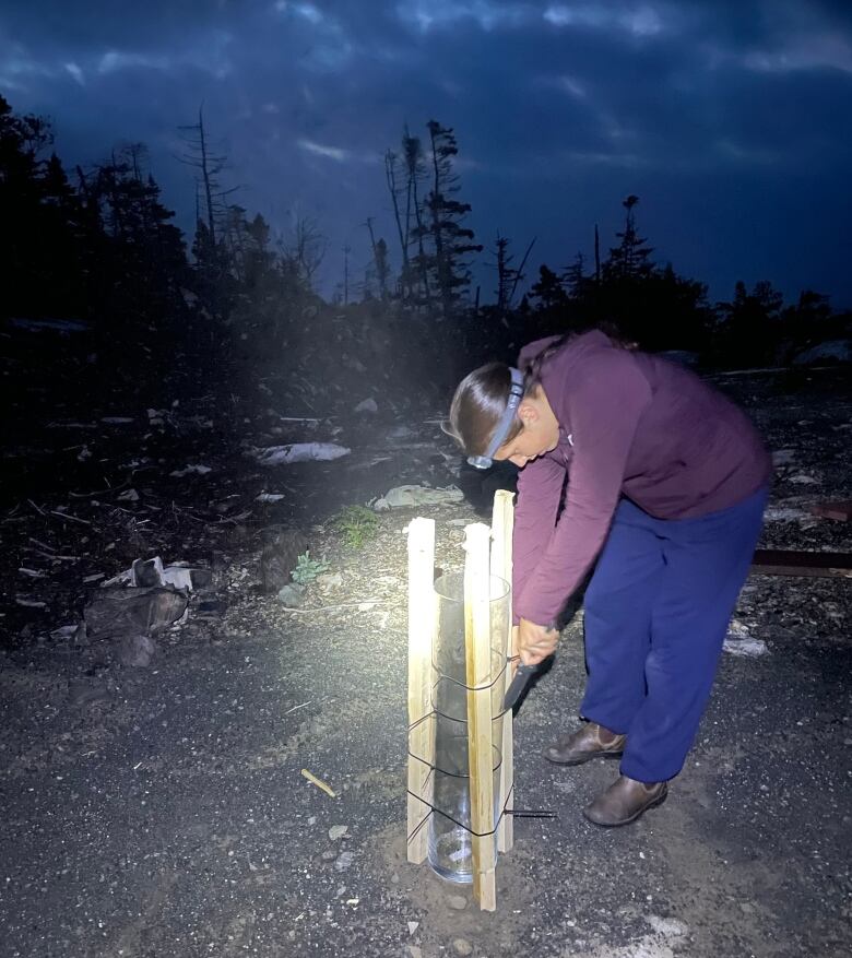 A young woman wearing blue pants, a purple sweater and a headlamp checks a large glass cylinder supported by 3 wooden sticks 