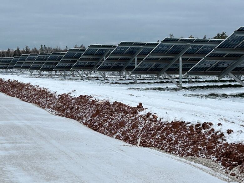 Large solar panels are shown at Summerside's new solar farm. 