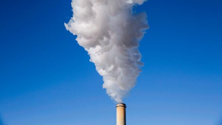 Steam billows from the Sheerness coal fired generating station near Hanna, Alta., Tuesday, Dec. 13, 2016.