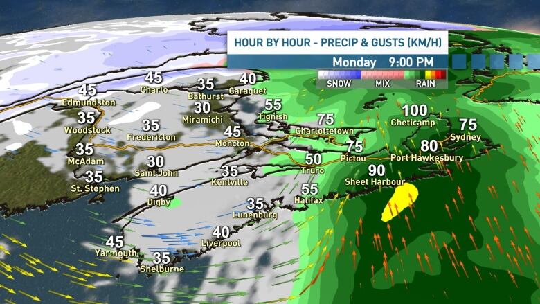 A map of the maritimes showing hour by hour wind and precipitation data for 9 p.m. on Monday.