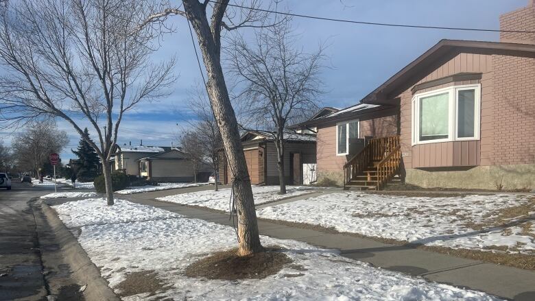 A tree outside a house in the middle of snow covered grass.