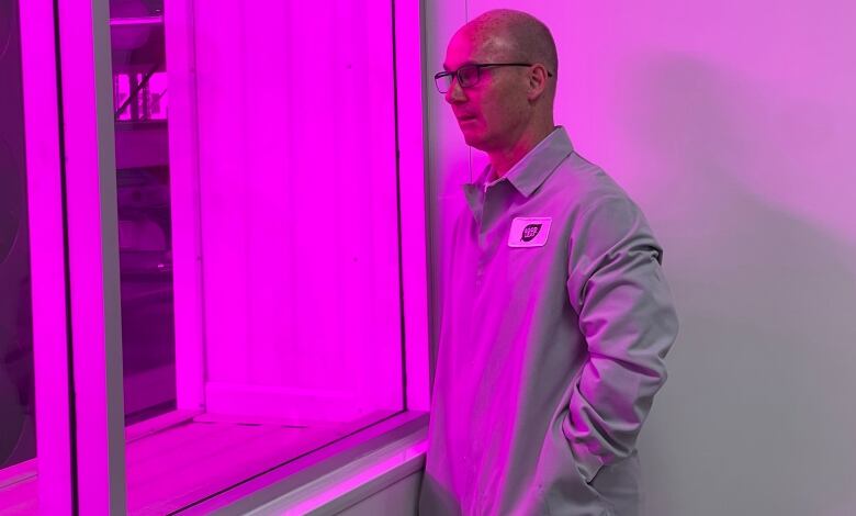 Barry Murchie, the president and CEO of Good Leaf Farms, is bathed in a pink-purple light from thousands of LED bulbs that are part of the company's indoor commercial farm operation. 