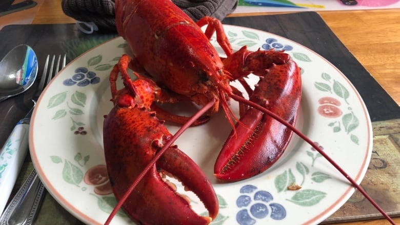 A bright-red cooked lobster sits on a plate. 