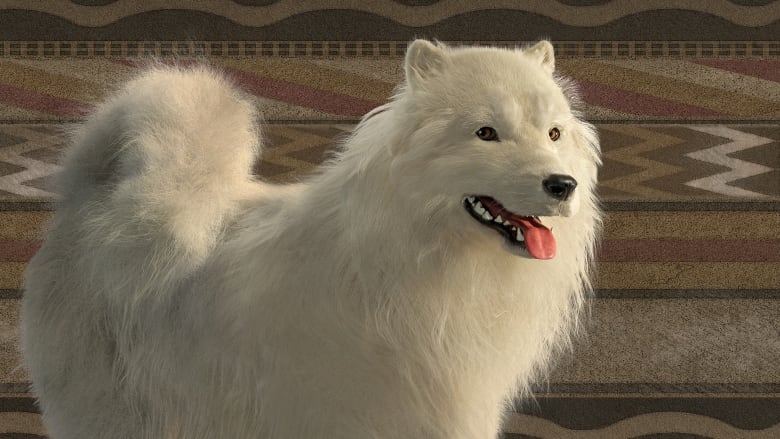 A drawing of a white medium sized fluffy dog. 