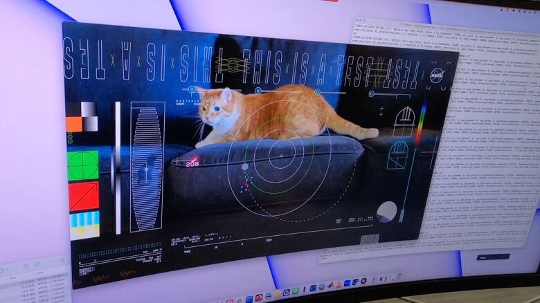 An orange cat on a computer screen with scientific graphics overlaid