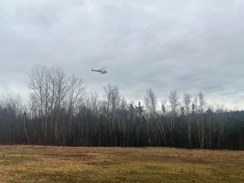 An RCMP helicopter flies over the Greek River Road area in eastern P.E.I. 