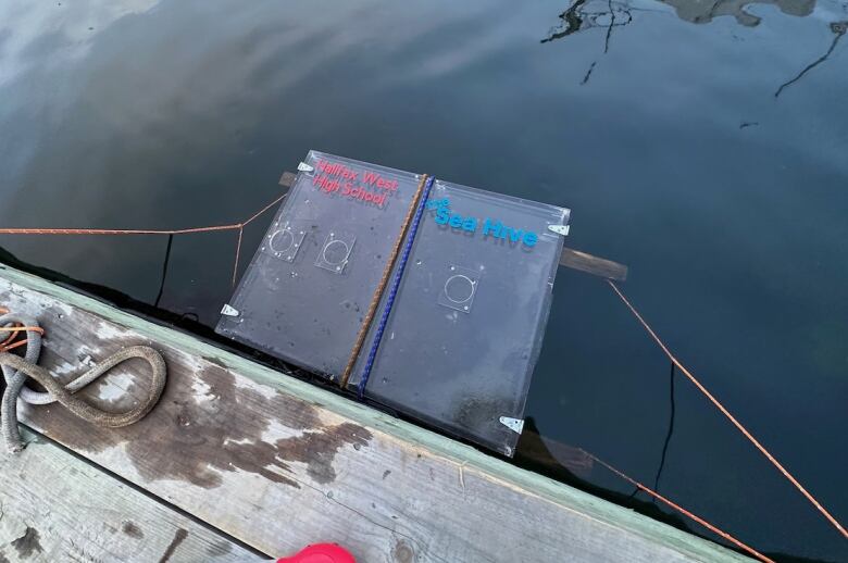 A plastic box that says 'Halifax West High School' and 'The Sea Hive' is strung off the side of a dock and floats in the water.