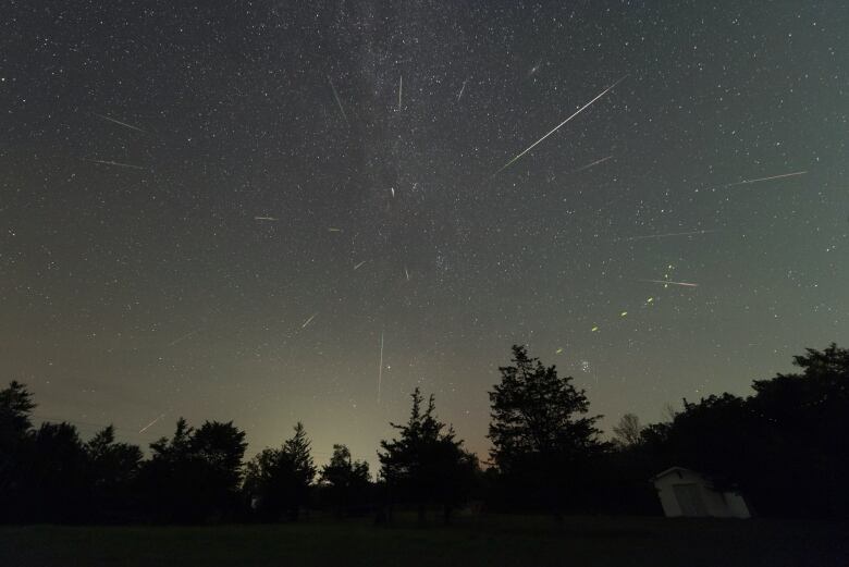 Streaks of light are seen against a starry sky.