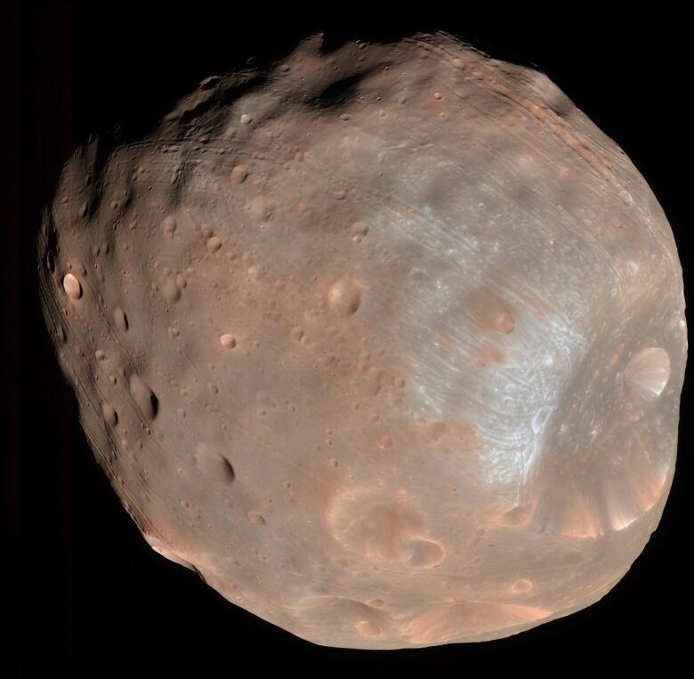 A brownish, cratered moon  Phobos  is seen against the black backdrop of space.