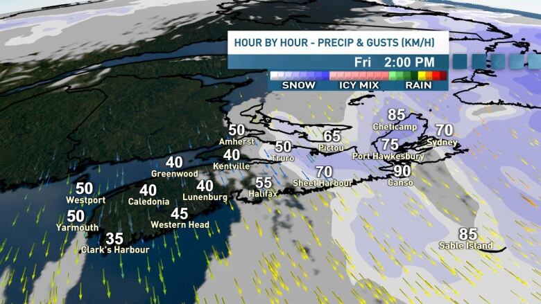 A map of the Maritimes shows wind guts and precipitation forecasts.