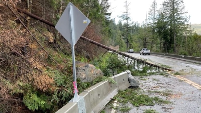 A shattered road barrier and upturned trees on a highway.