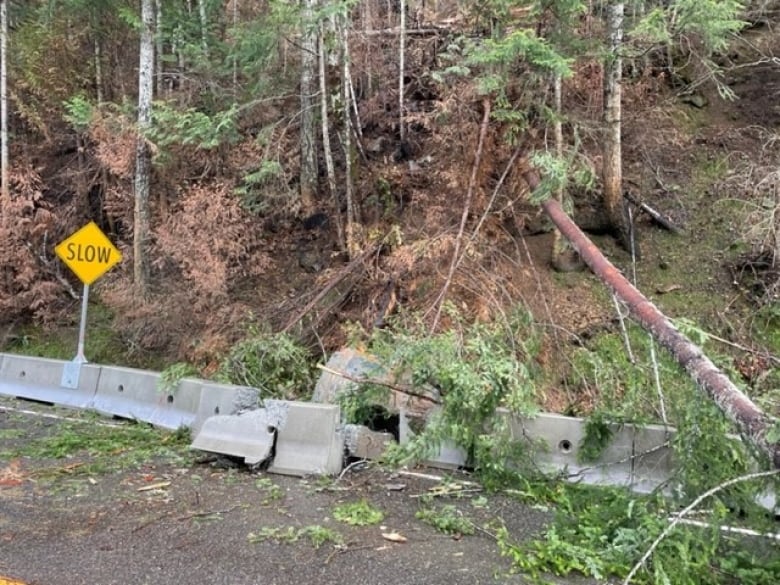 A shattered road barrier next to a slope where trees have fallen.