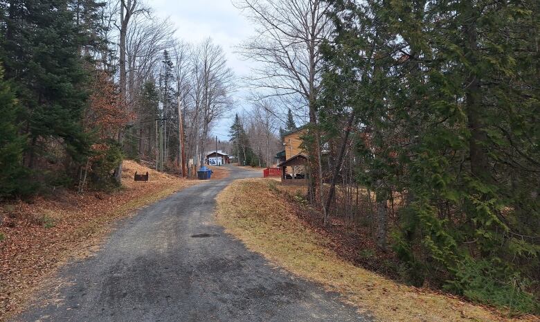 A photo of a trail with leaves along the side