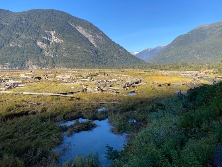 A valley among mountains. 