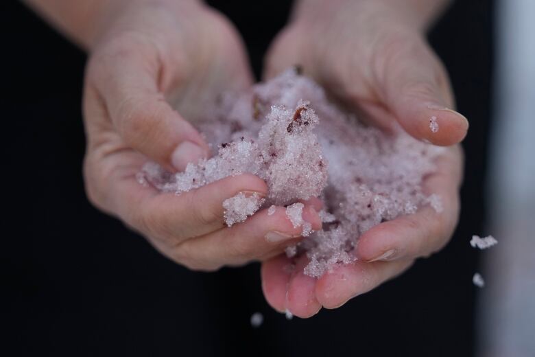 A person holds pink-coloured snow in their hands