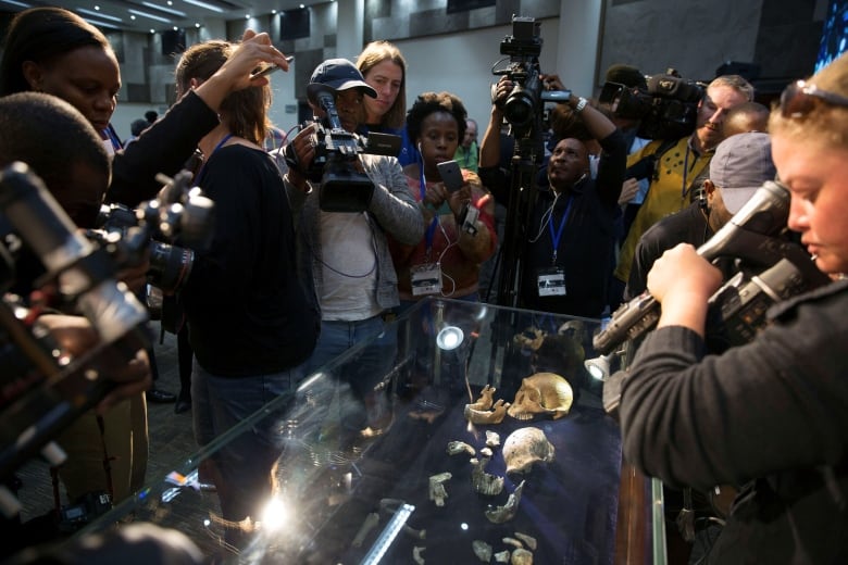 Journalists crowd around a glass case with the remains of Homo naledi laid out on top of a royal blue colour material.