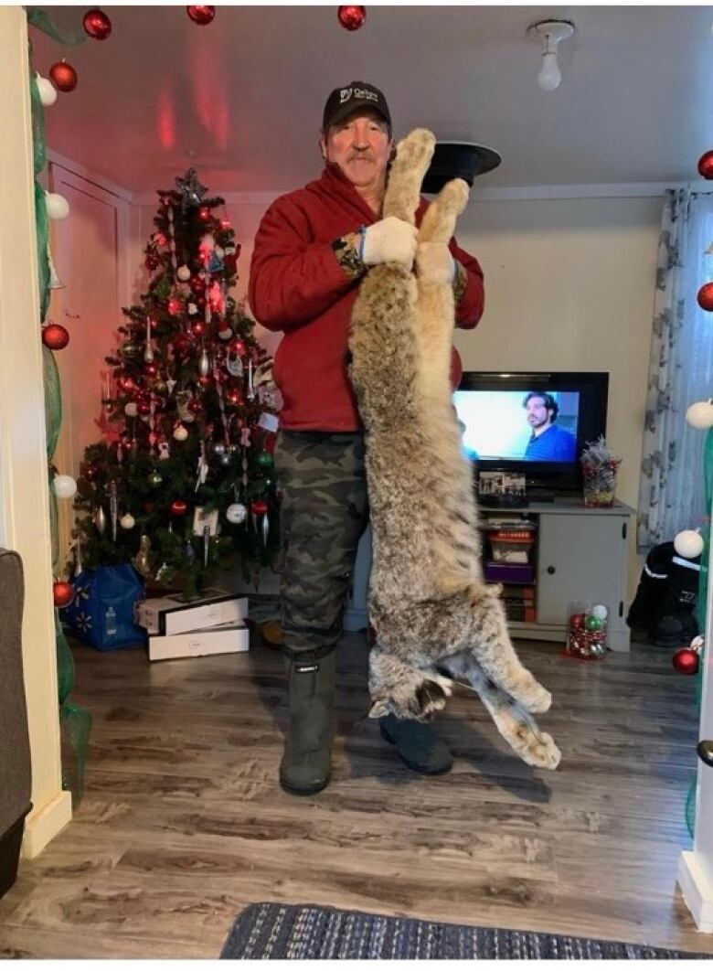 A man in a baseball cap and a red sweater stands in front of a tv and a Christmas tree, holding a lynx. 